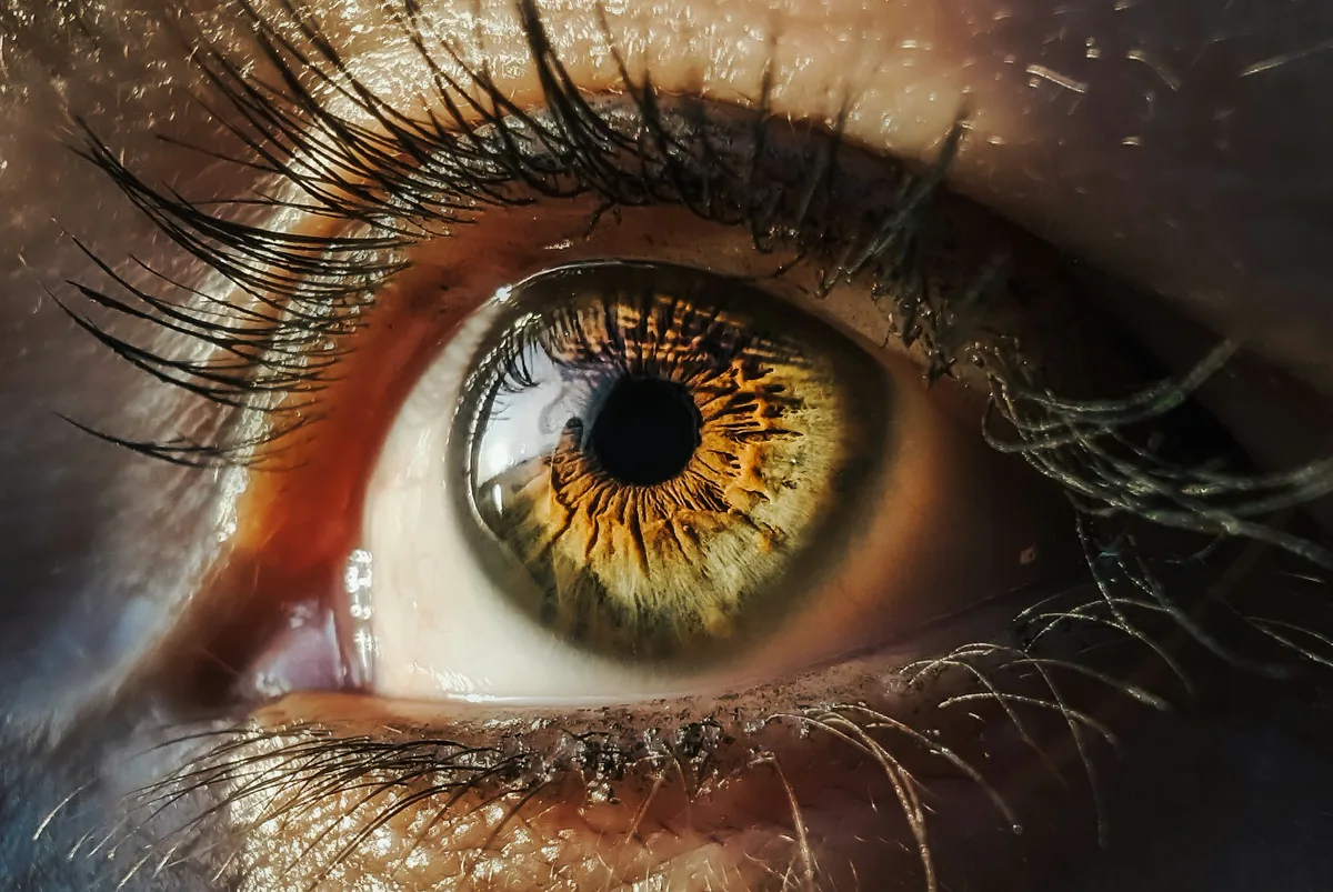 Regard et cils soignés