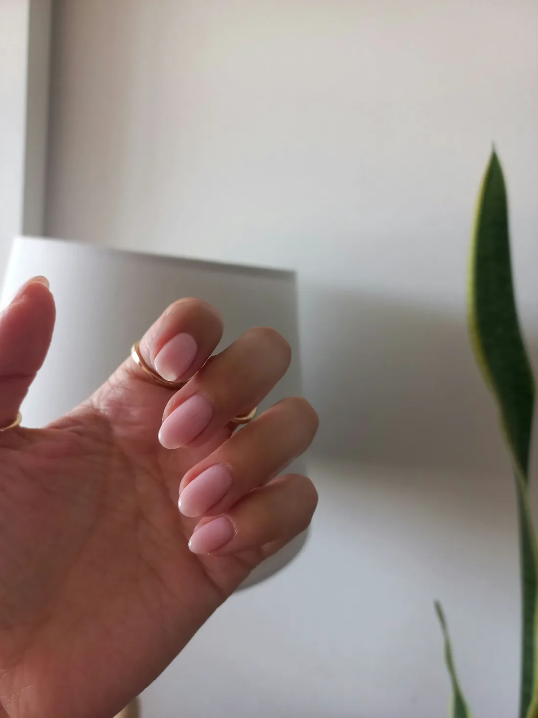 Manucure nude élégante